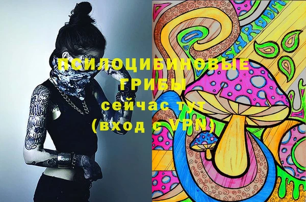 стаф Валдай