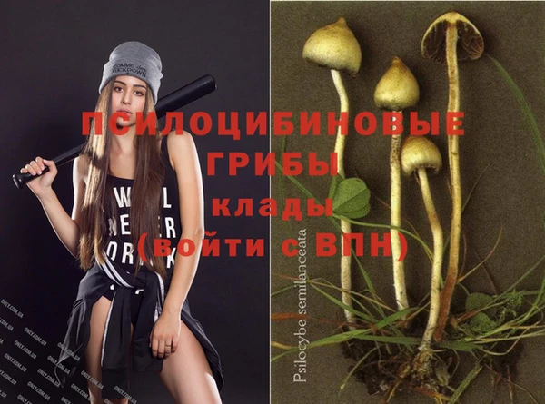 MESCALINE Алзамай