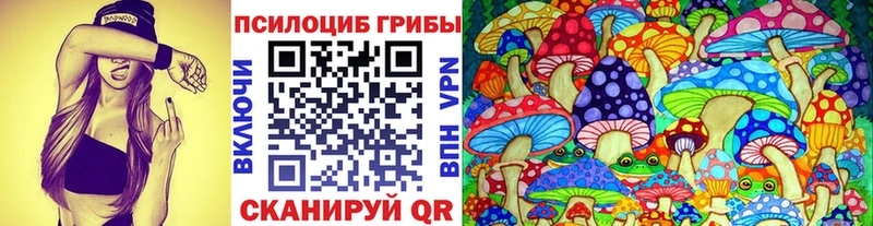 Галлюциногенные грибы Cubensis  продажа наркотиков  Котово 